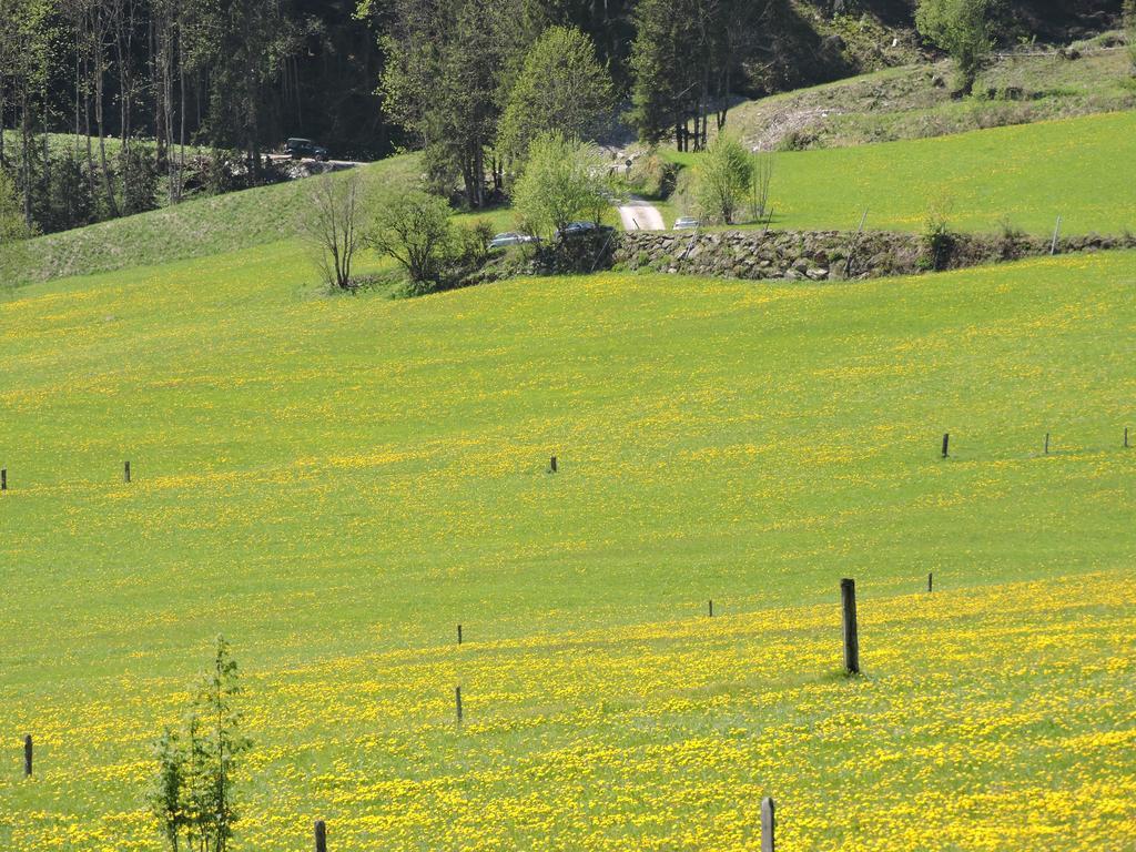 Haus Moesenlechner Lägenhet Maishofen Exteriör bild